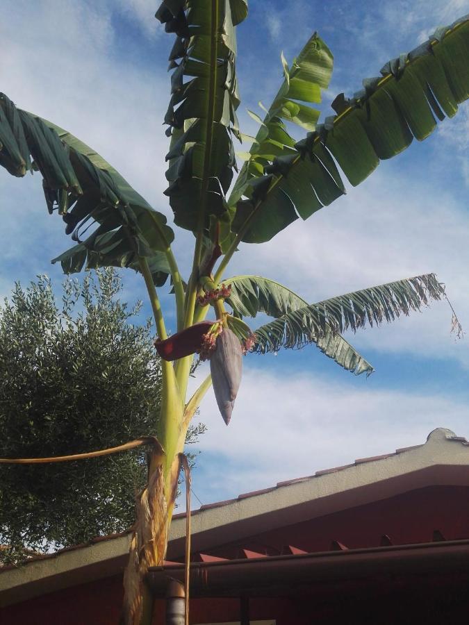 Villaggio Romaniello Marina di Camerota Bagian luar foto